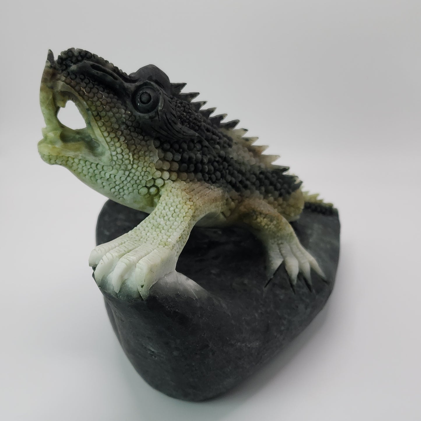 *Dushan Jade Lizard