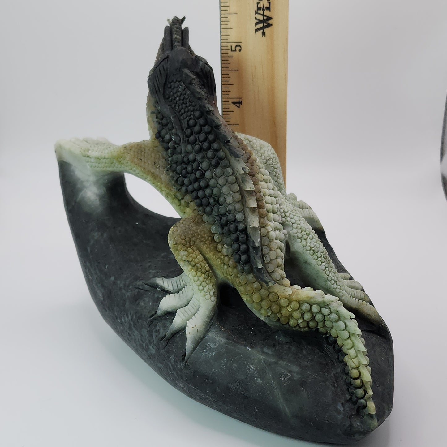 *Dushan Jade Lizard