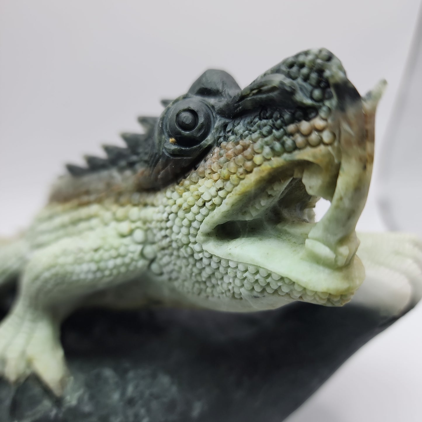 *Dushan Jade Lizard