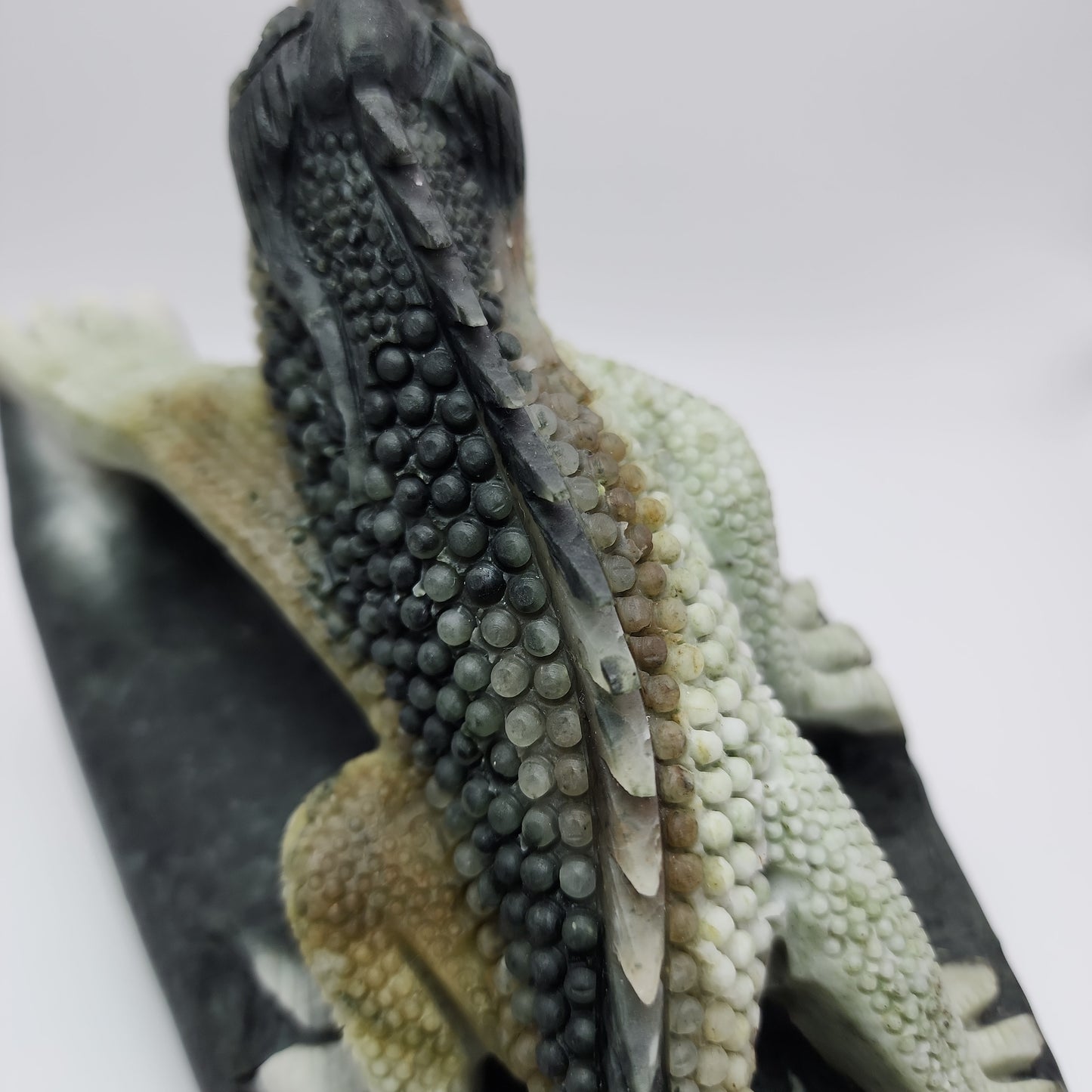 *Dushan Jade Lizard