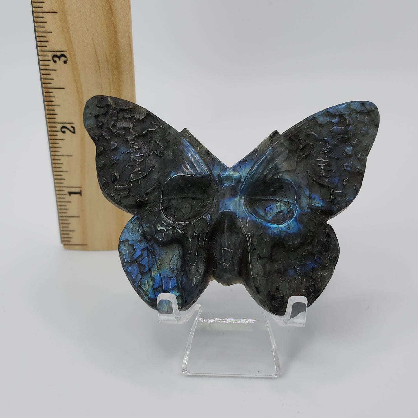 Labradorite Butterfly Skull