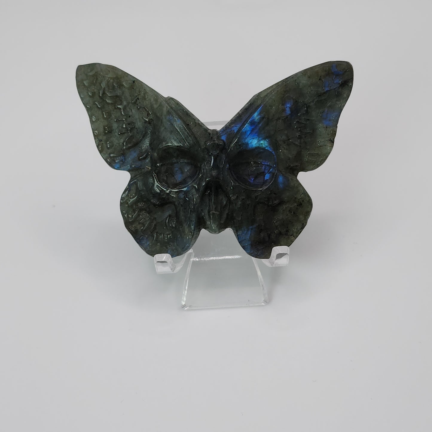 Labradorite Butterfly Skull