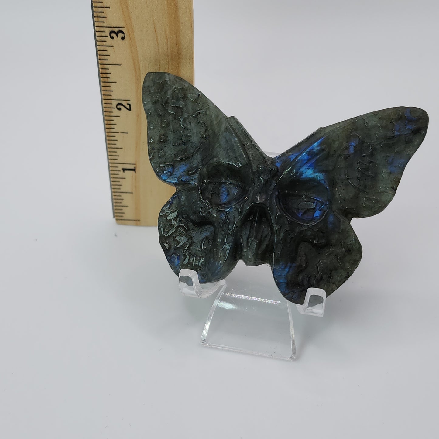 Labradorite Butterfly Skull