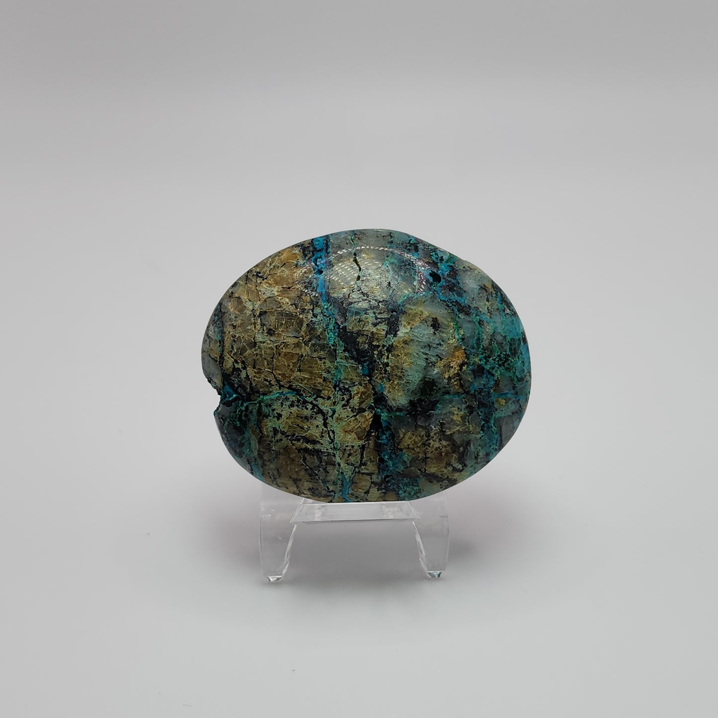 Quantum Quattro Palm Stone - Peru