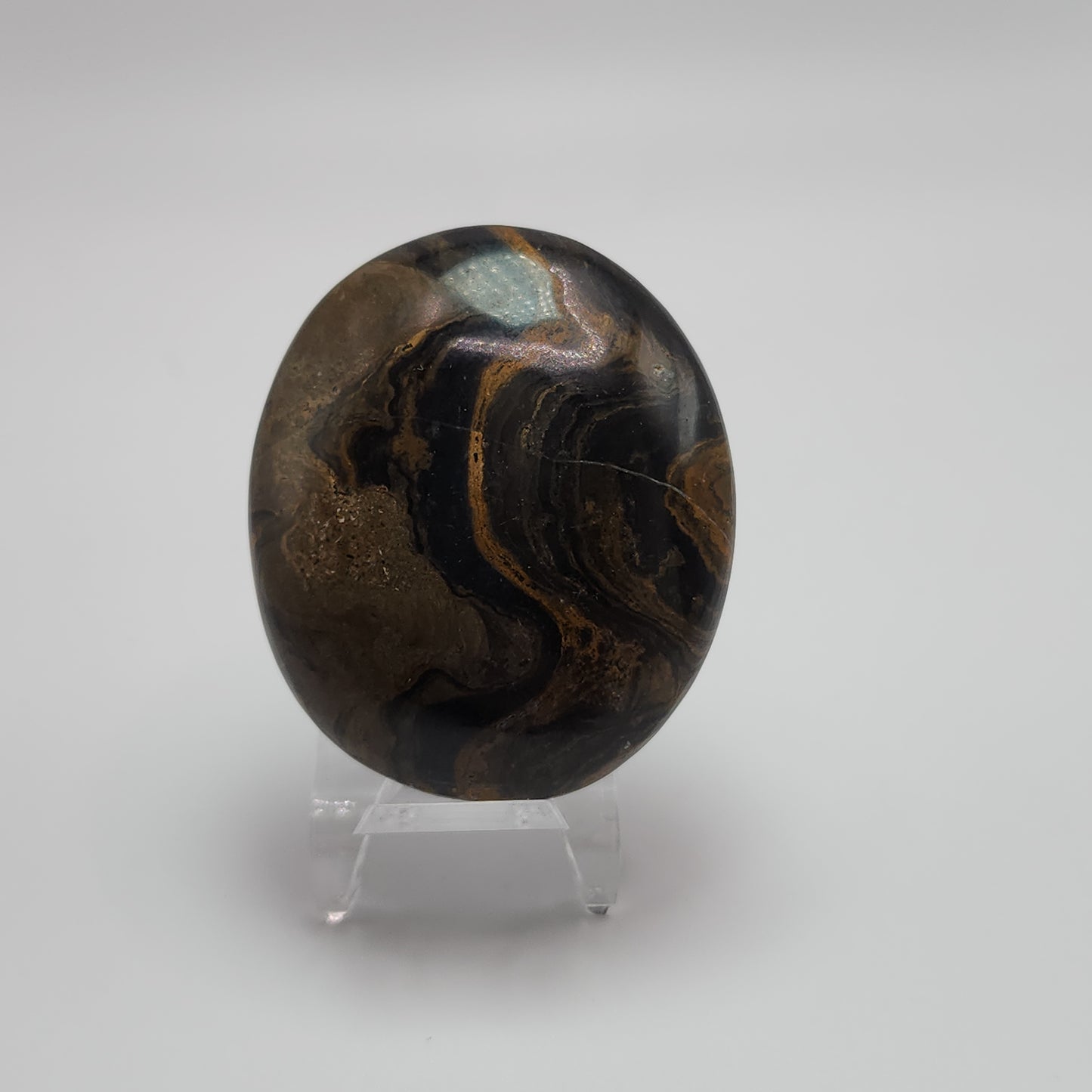 Stromatolite Palm Stone