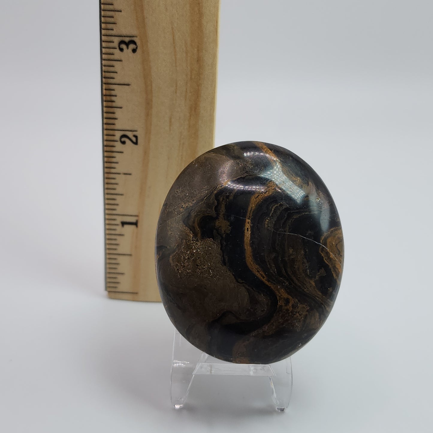 Stromatolite Palm Stone