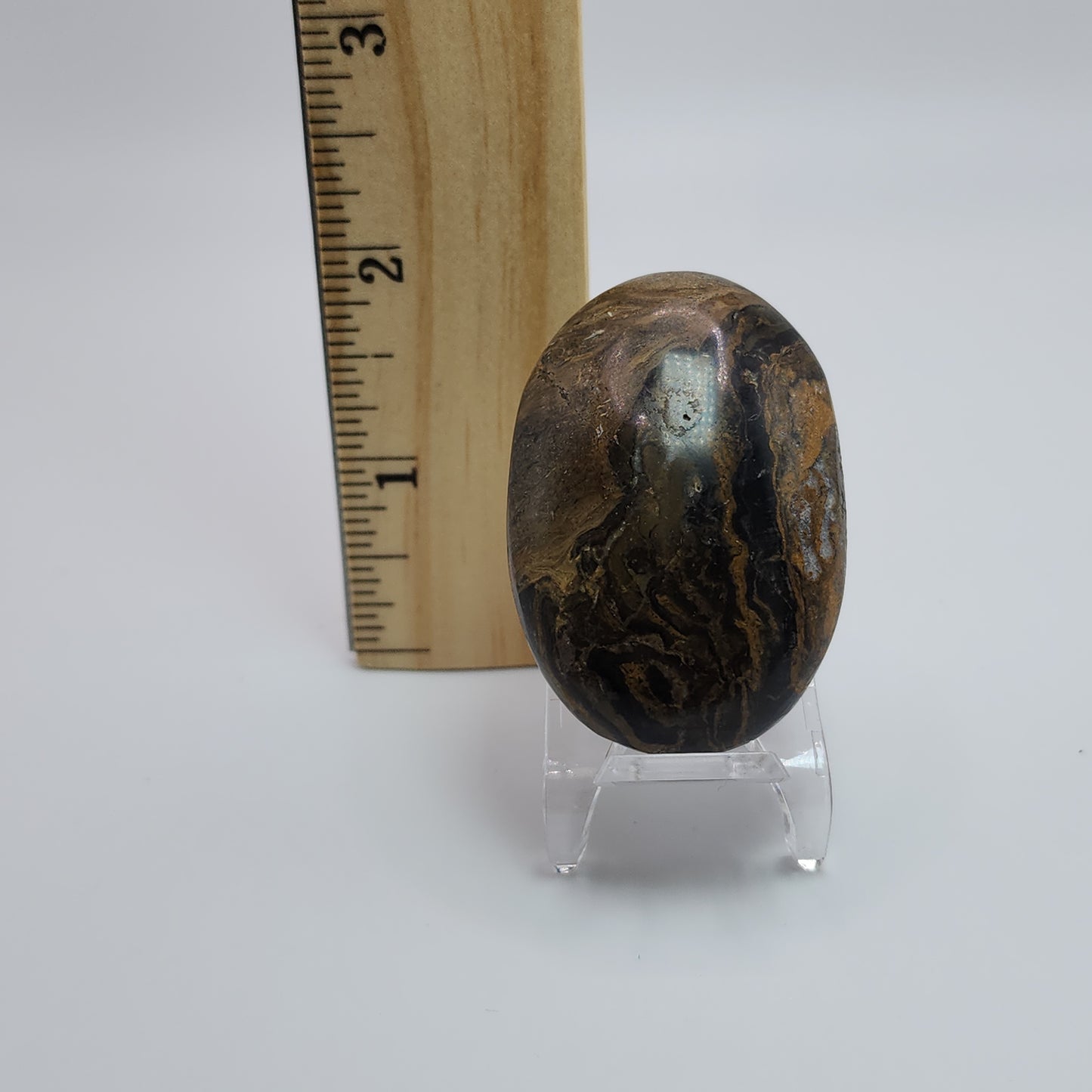 Stromatolite Palm Stone - Peru