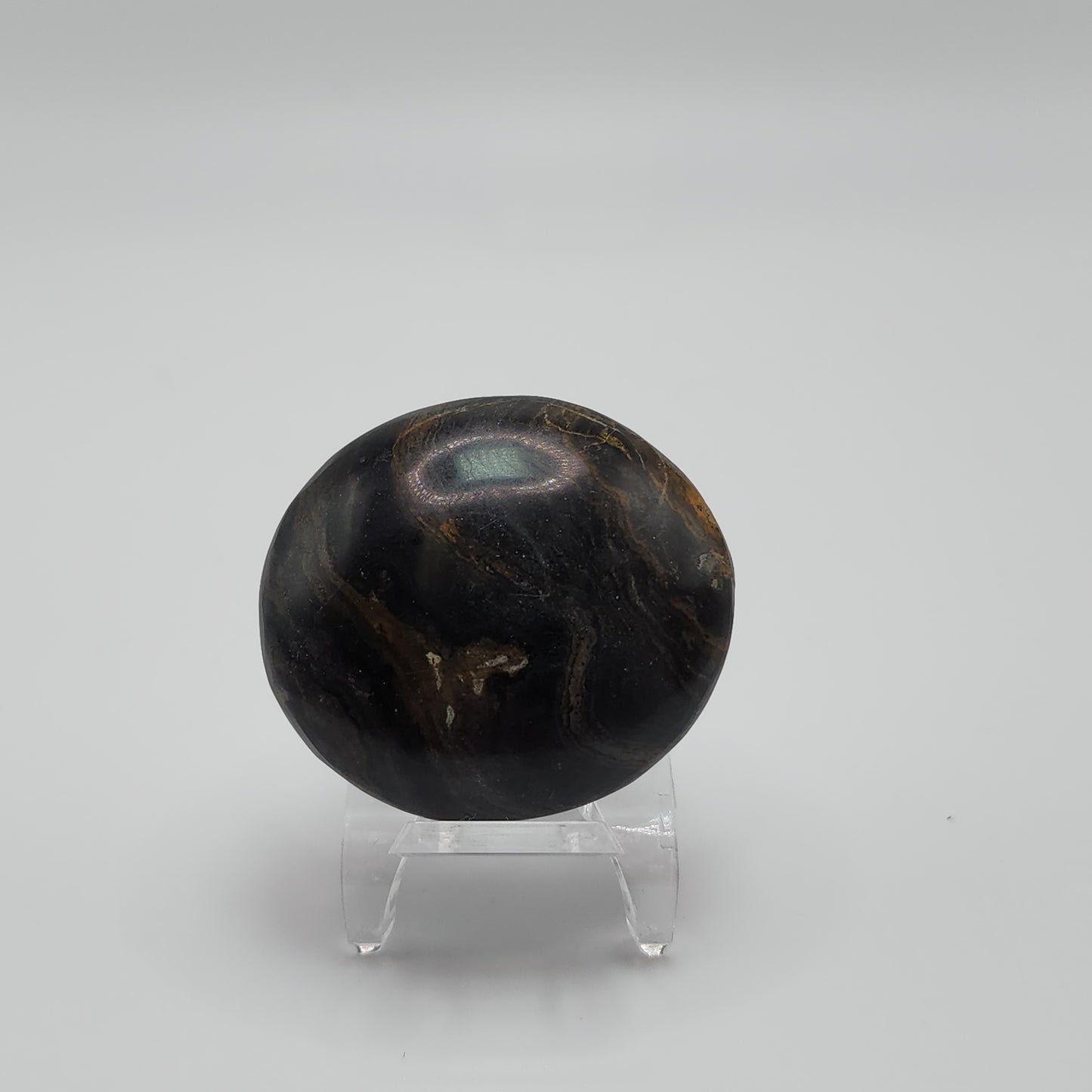 Stromatolite Palm Stone - Peru