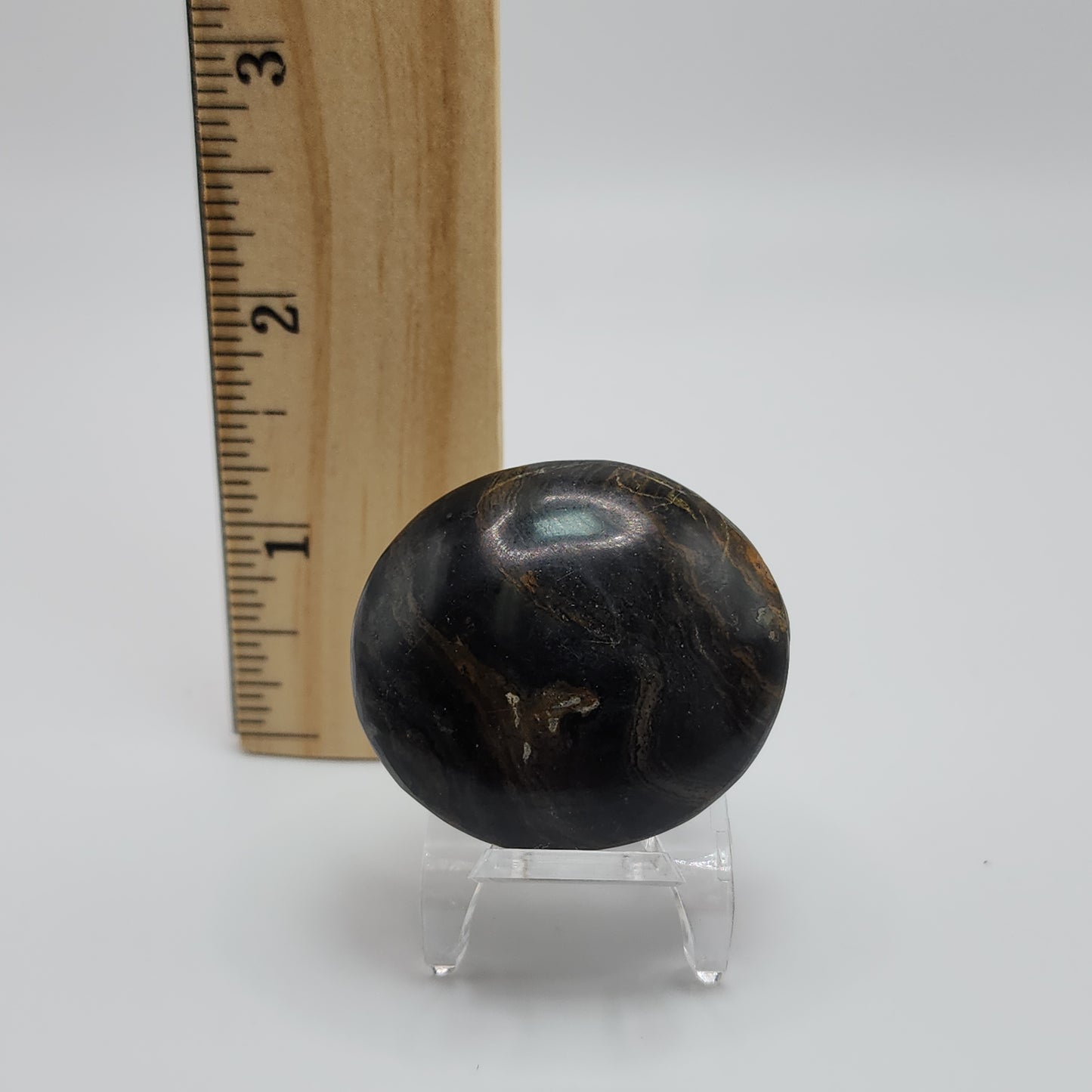 Stromatolite Palm Stone - Peru