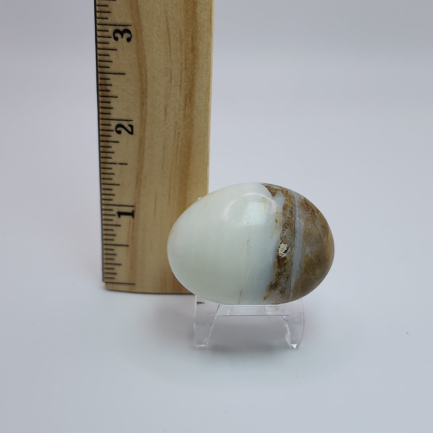 Andean Opal Palm Stone