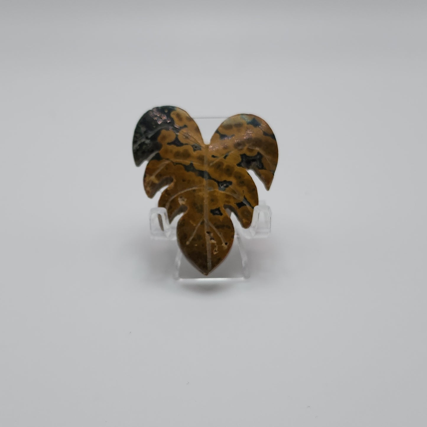 Fancy Jasper Monster Leaf Small