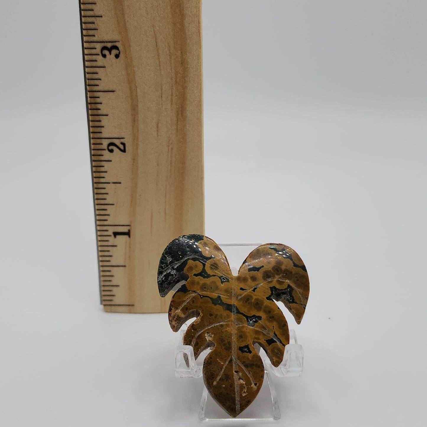 Fancy Jasper Monster Leaf Small
