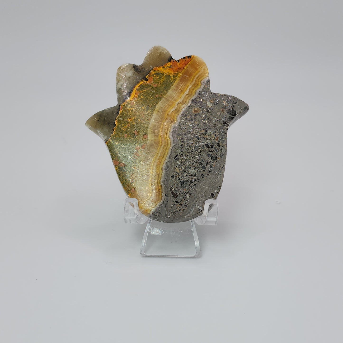 Bumble Bee Jasper Palm - Indonesia