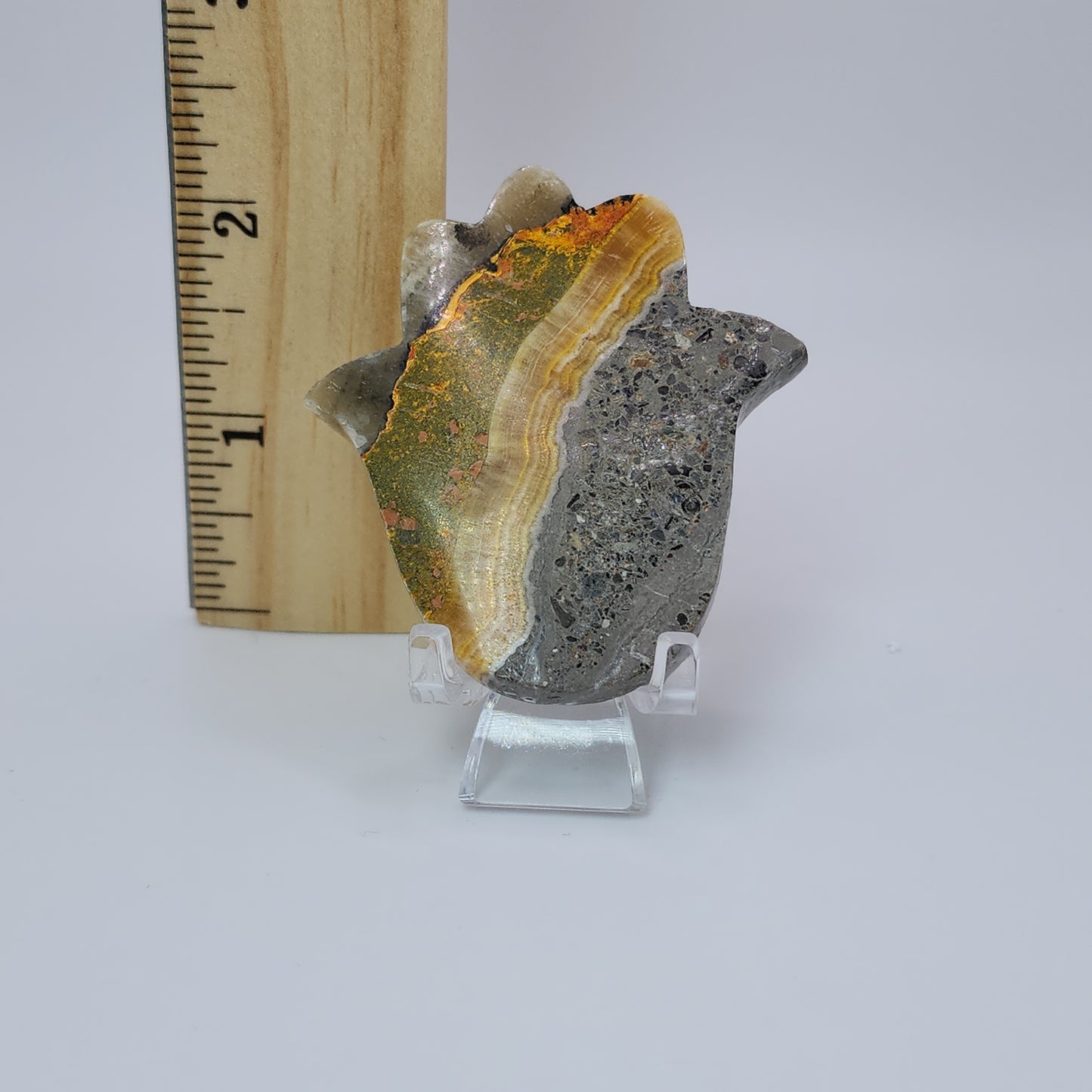 Bumble Bee Jasper Palm - Indonesia