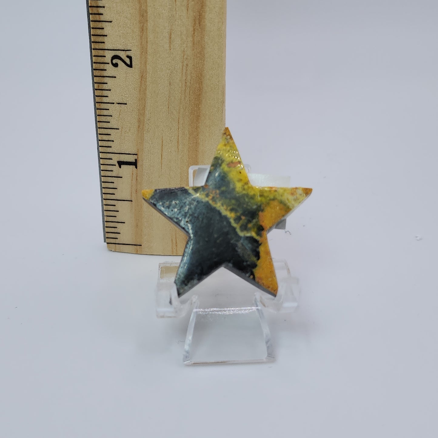 Bumble Bee Jasper Star - Indonesia