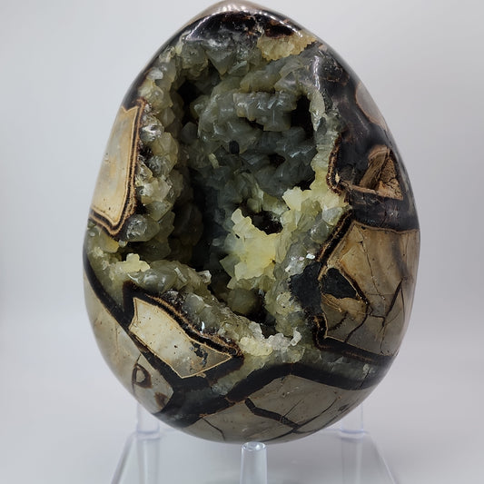 *Septarian Egg
