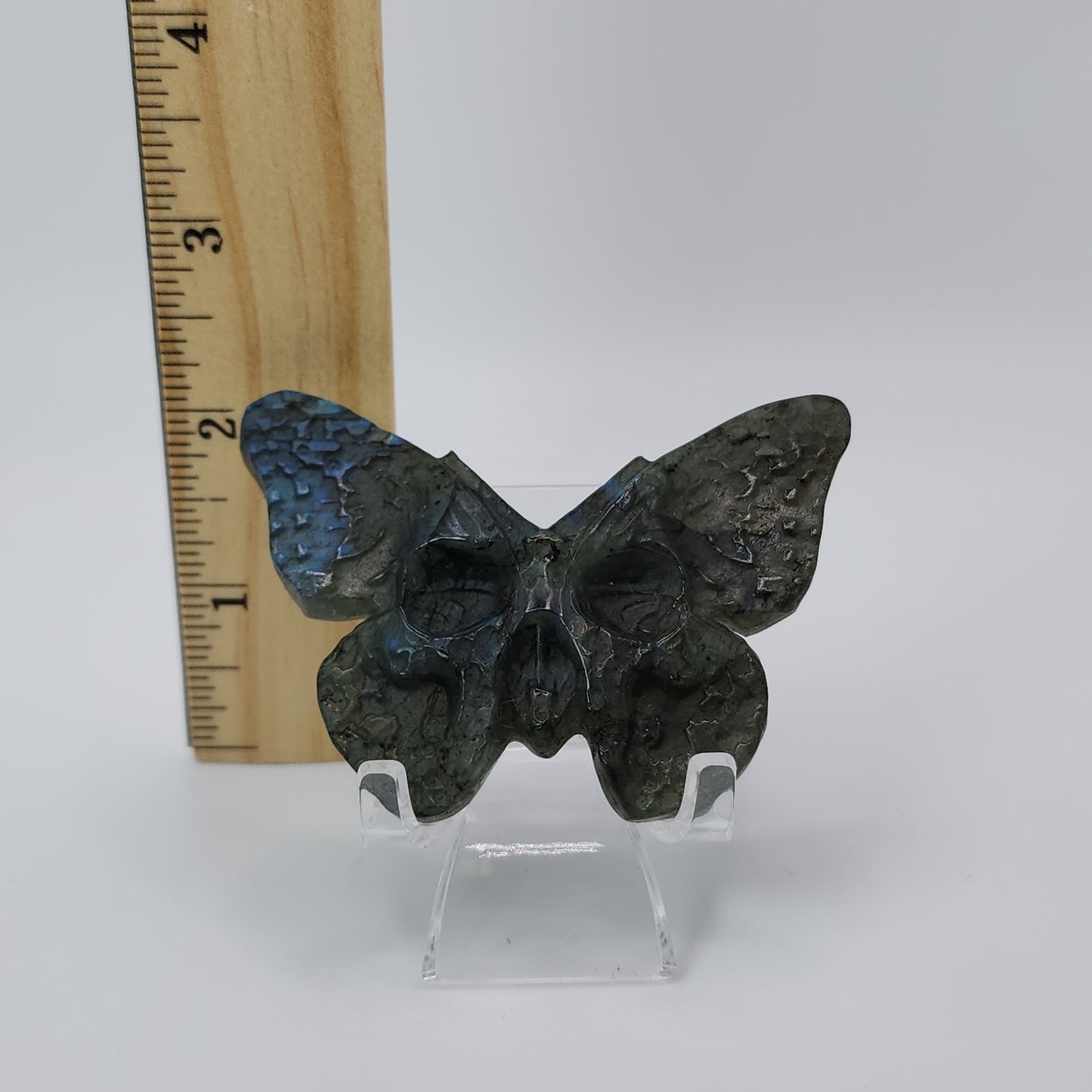 Labradorite Butterfly Skull
