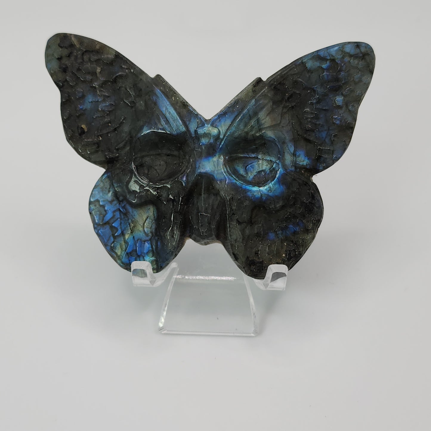 Labradorite Butterfly Skull