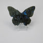 Labradorite Butterfly Skull