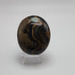 Stromatolite Palm Stone
