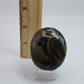 Stromatolite Palm Stone