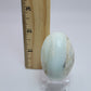 Andean Opal Palm Stone