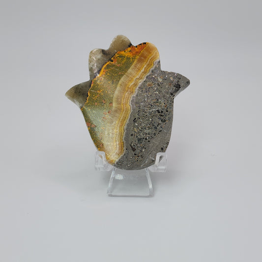 Bumble Bee Jasper Palm - Indonesia
