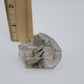 Lodolite Mini Points - Brazil up to 80-89g