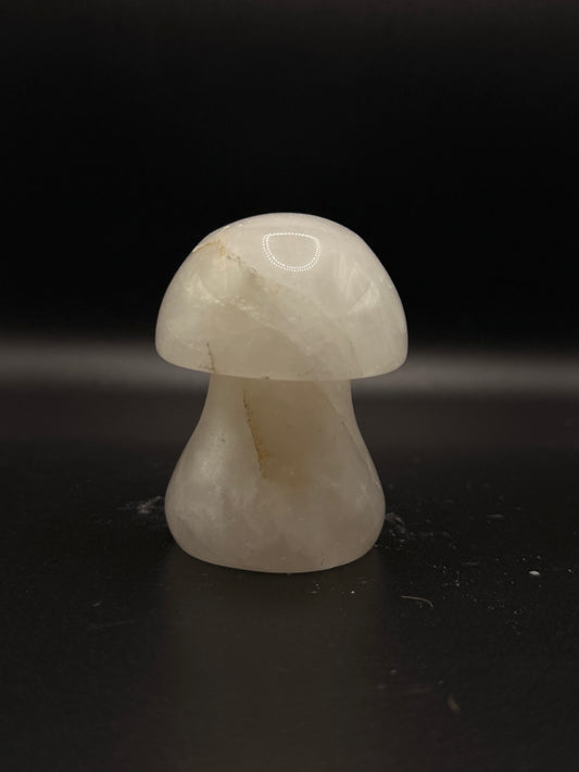 Clear Quartz Mushroom A